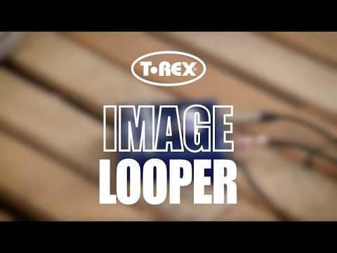 T-REX Image Looper image 2