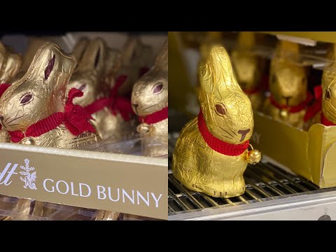 Gold Bunny Chocolate /Lindt Milk Chocolate / Short Video