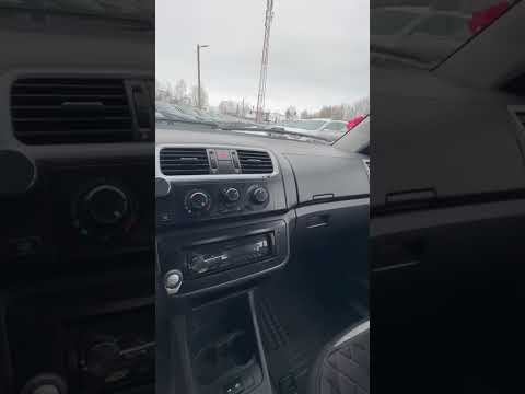 фото skoda fabia ii 0