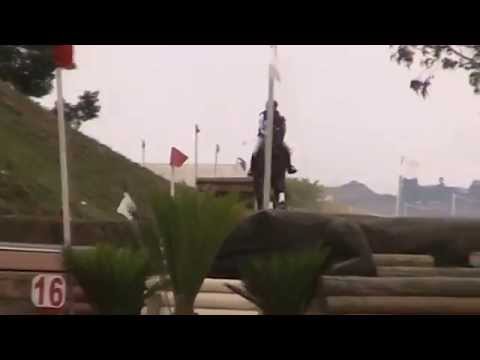 2015.11.01 Wild Kodiak (Codi) Polo International Horse Trials CIC1* XC2