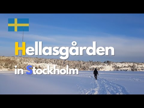 Hellasgården snow hiking - Stockholm Sweden