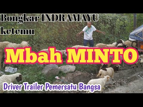 Perjalanan Bersama mbah MINTO