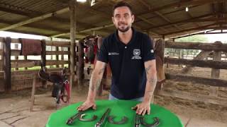 Miniatura do vídeo