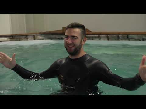 "Õhtu!" - Robert koertespaas 🐶🫧