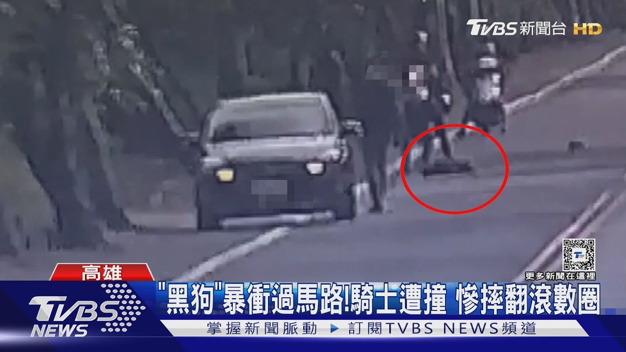 「黑狗」暴衝過馬路!騎士遭撞 慘摔翻滾數圈