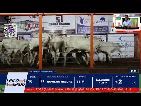 LEILÃO DA LEILOGADO  EM SÃO MIGUEL DO ARAGUAIA - GO 04/12/2025 | LEILÃO AO VIVO.