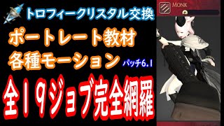 【#FF14】#ポートレート教材 各種モーション全１９ジョブ完全網羅（#クリスタルコンフリクト で手に入れるトロフィークリスタル交換、トロフィークリスタル使い道）