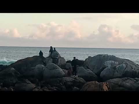 El Tabo, Valparaíso. - Chile 🇨🇱 2025