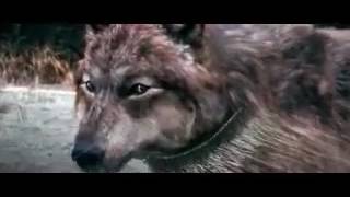 Jacob Black The Mitch Hansen Band