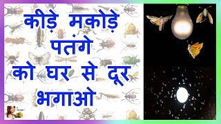 how to get rid of bugs attracted to light |  bugs bhagane ka tarika | patange - mere gharelu nuskhe