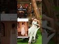 Recreating Nehal Chudasama S Bigg Boss 19 Outfit Shorts Nehalchudasama Biggboss19