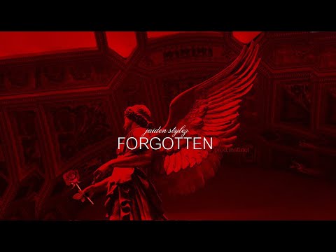 jaiden stylez🌹- forgotten