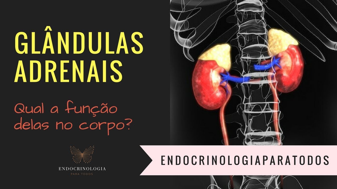 O que é a glândula adrenal?