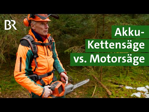 Motorsägen Vergleich: Akku-Kettensäge vs. Motorsäge mit Benzin | Sägen im Wald | BR