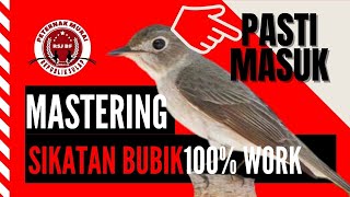 Download lagu Burung Sikatan Bubik | Suara Air Alam Hutan | Smart Mastering 3D | Masteran Burung | Full HD mp3