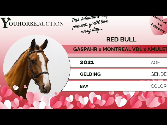 Red Bull trainingsvideo