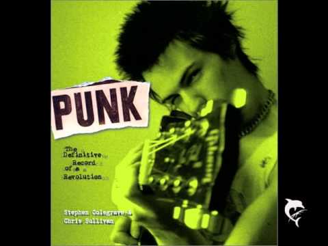 Sid Vicious - I Killed The Cat