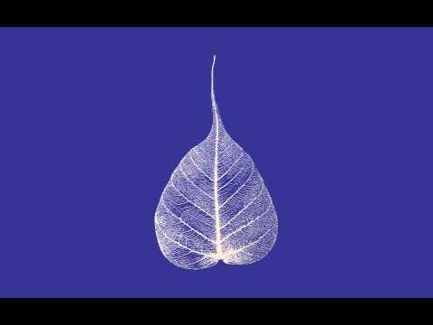 120605 Looking Continually \ \ Thanissaro Bhikkhu \ \ Short Dhamma Talk