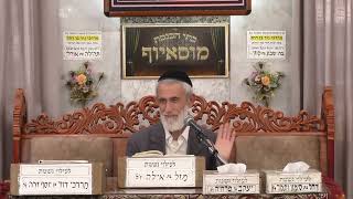 בית הכנסת מוסאיוף (בית הכנסת מוסאיוף) - התמונה מוצגת ישירות מתוך אתר האינטרנט יוטיוב. זכויות היוצרים בתמונה שייכות ליוצרה. קישור קרדיט למקור התוכן נמצא בתוך דף הסרטון בית הכנסת מוסאיוף (בית הכנסת מוסאיוף) - התמונה מוצגת ישירות מתוך אתר האינטרנט יוטיוב. זכויות היוצרים בתמונה שייכות ליוצרה. קישור קרדיט למקור התוכן נמצא בתוך דף הסרטון