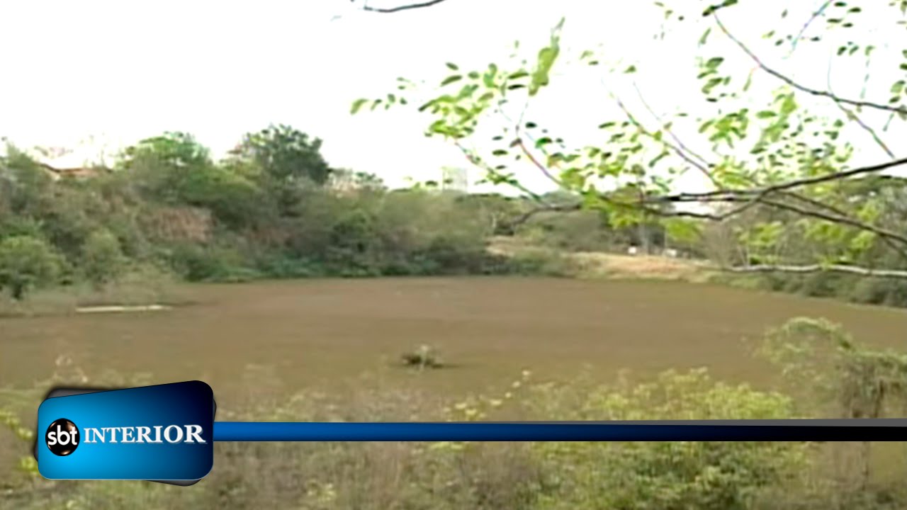 Um fenômeno raro da natureza tem mudado a paisagem de uma lagoa de Araçatuba.