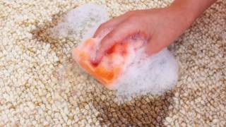 How To Remove Bad Smells From Carpet | High Performance Carpet Cleaning by Multi-Clean