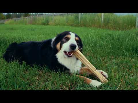 Otherside - Waylon Wyatt