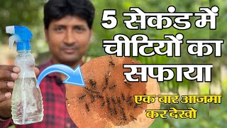 5 सेकंड में हर तरह की चीटियों का सफाया || Ant Control in Garden || Ant Control Home Remedies