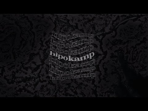 marcin6 - HIPOKAMP