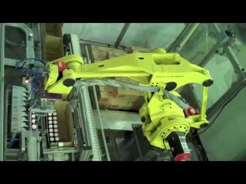 Encajado De Frascos y Palletizado Automático Robotizado De Cajas