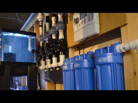 DIY Fish Room Auto Water Change System