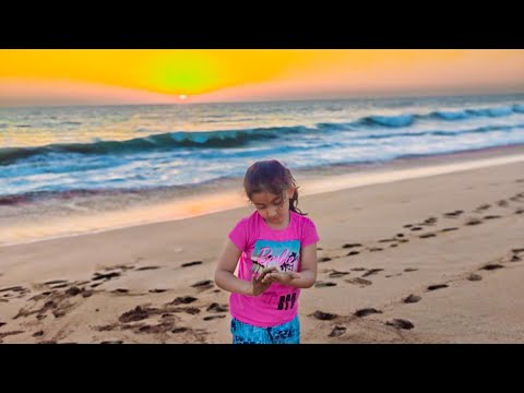 Beach Day Bliss with the Kakkads ✨🌊 | Harleen, Kaushal & Dr. Ushma at Madhavpur Beach 🌅✨