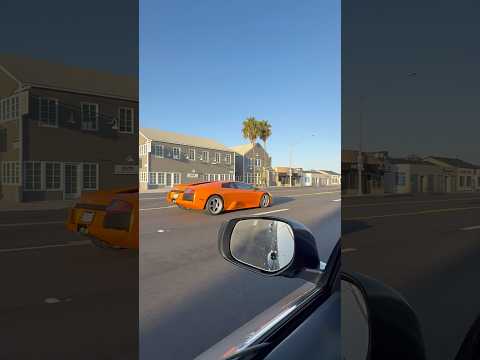 Thumbnail for Sound Up! Rolling V12 Lamborghini Murcielago Manual Supercar #cars #sportscar #luxurycar #lambo #v12 by Nota, Special edition, Lamborghini Murciélago, Lamborghini, Ferrari, Supercar, rall, SEAT, Porsche, Luxury car, Sports car, rally, Car