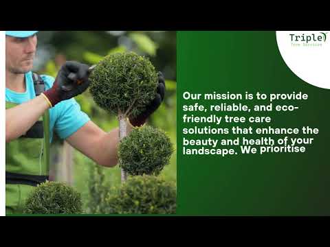 Triple T Tree Services tree removal video thumbnail