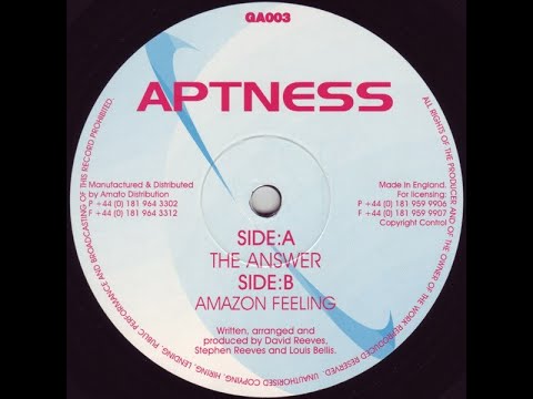 Aptness - The Answer (1999)