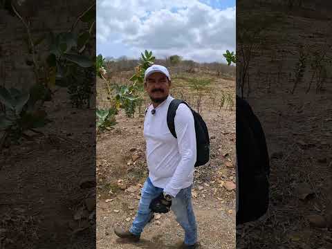 eu estou na antiga vila de couro Dantas na zona rural de riacho das almas Pernambuco