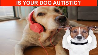 Autistic DOGS!!  Signs Your Dog Has ASD (Autism Spectrum Disorder) Dogs with Autism
