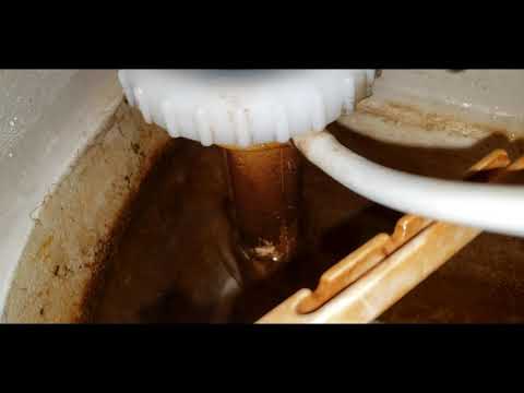 Toilet Leaking Water into the Bowl