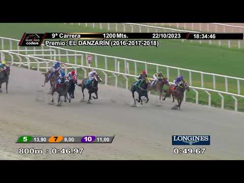 231022 c09 BOY BROKOLIN HAHA