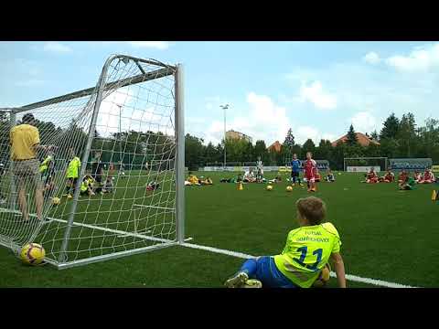 Přesnost střelby David