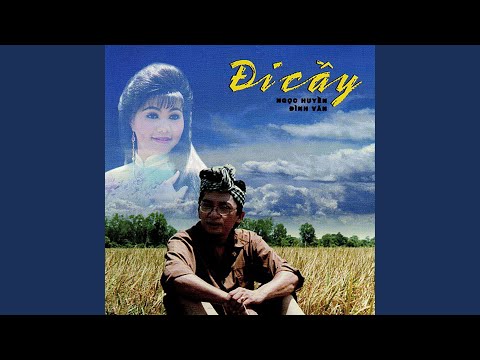 Chiều mưa năm xưa - Đình Văn