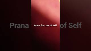Download lagu Prana for Loss of Self mp3