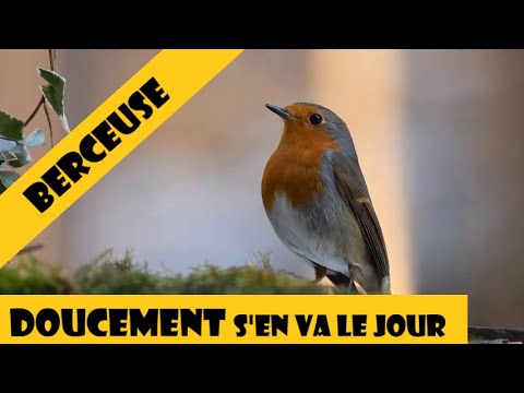 Berceuse   Doucement s'en va le jour  EveildesLoulous - Eveil Musical Bébé Enfants