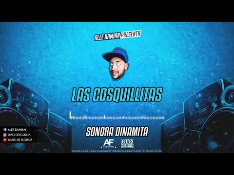 DJ ALE DE FLORIDA ✘ Las Cosquillitas (Mix)
