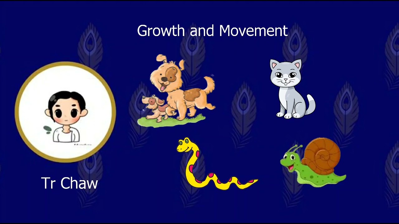 Lesson 4 - Living things