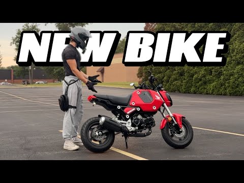 I Bought a Honda Grom for $3,000