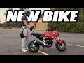 I Bought A Honda Grom For 3 000