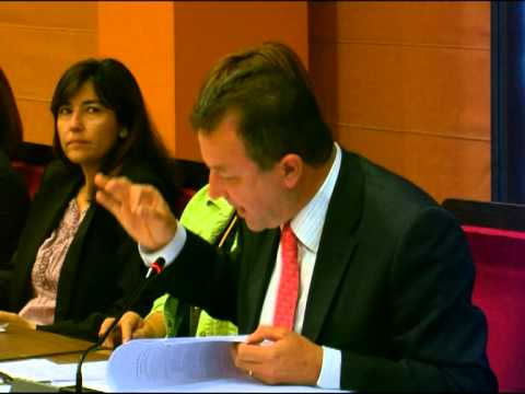 El Pleno da luz verde al aumento de edificabilidad de la polémica parcela del ex teniente de alcalde de Marbella, Pedro Román