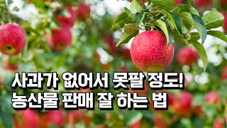 시집 온 며느리가 사과 인터넷 판매로 연매출 10억 올린 과정