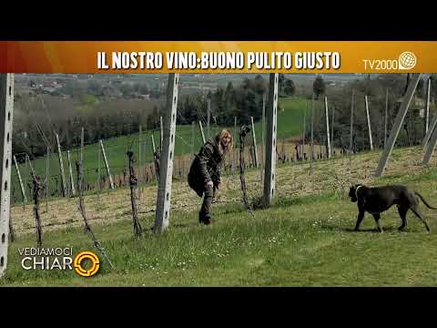Vediamoci Chiaro, 7 aprile 2022 - Il nostro vino buono, pulito e giusto