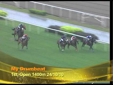 Longines Singapore Gold Cup 2010 Contenders (My Drumbeat)